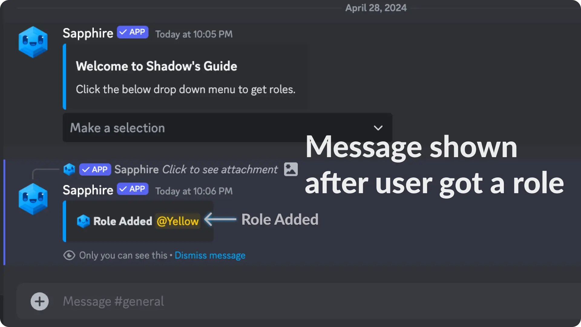 Sapphire Assign Roles via select menu Example