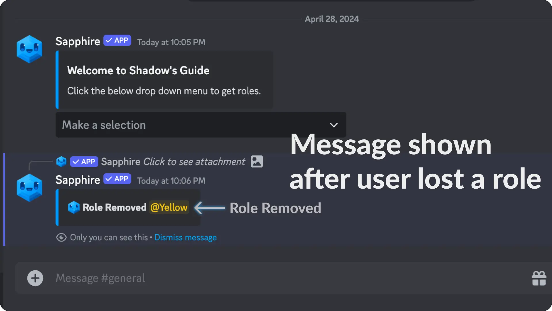 Sapphire Assign Roles via select menu Example